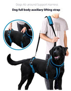 Pet Supplies Dog Auxiliary Strap