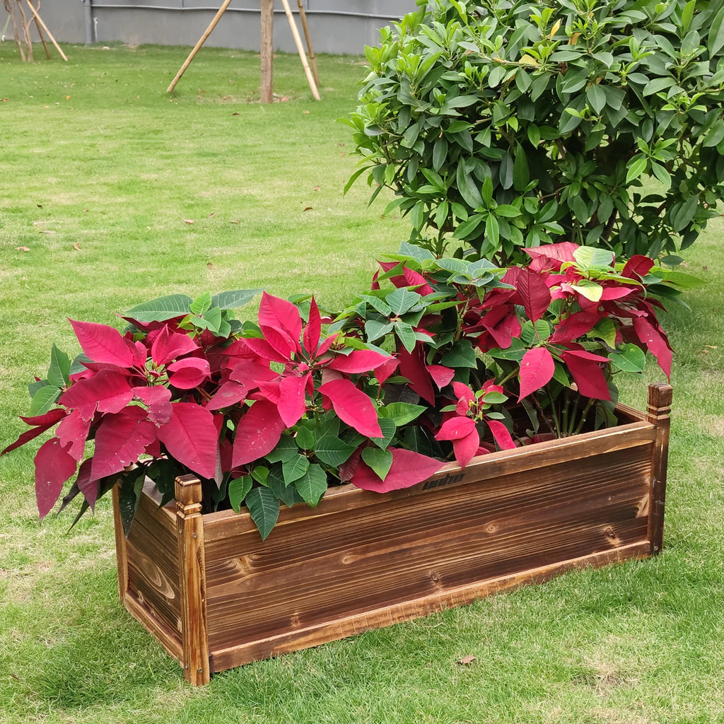 Raised Garden Bed Flower