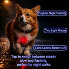 Clip-On Dog Safety Light for Night Walking, High Visibility Lightweight for All Pets, Red