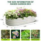 2-Pack Oval Galvanized Steel Raised Garden Bed Open Base Safety Edge Planter Box