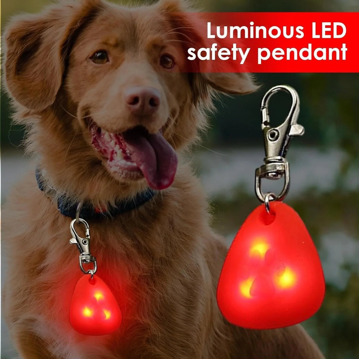 Clip-On Dog Safety Light for Night Walking, High Visibility Lightweight for All Pets, Red