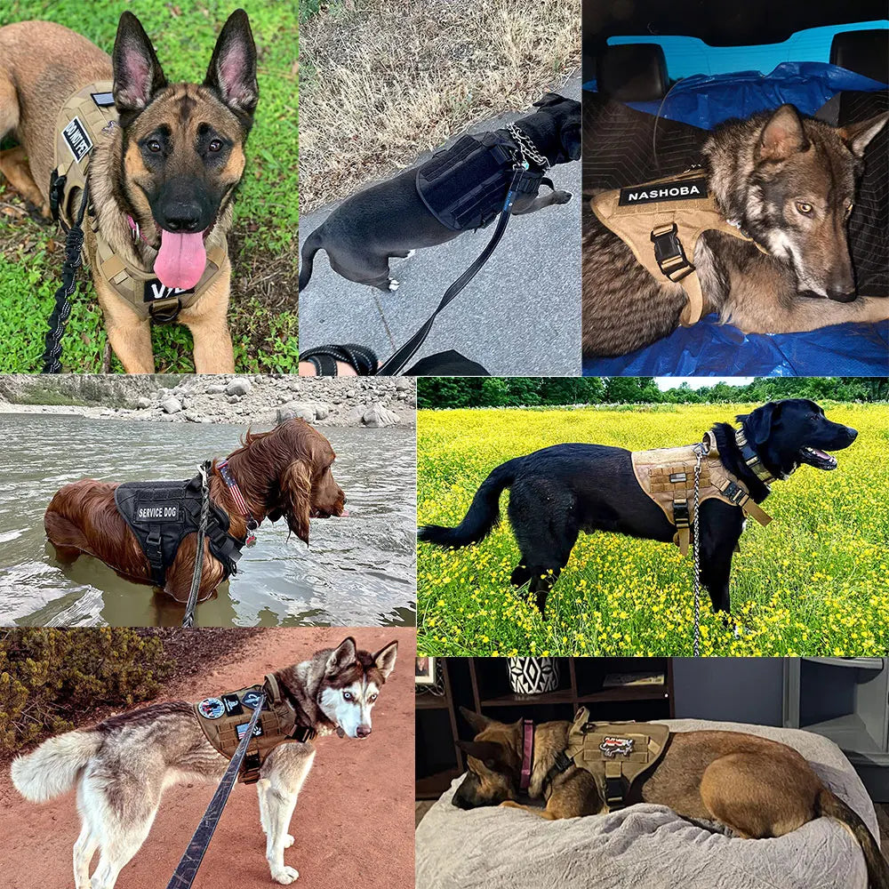 Large Dog Harness And Leash Set Malinois Training Walking Vest And Collar For Medium Large Dogs