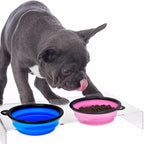 Folding Portable Silicone Dog Feeder Bowl with Carabiner Bottle Food Water Container